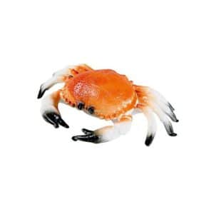 Décoration crabe pour vitrine poissonnerie