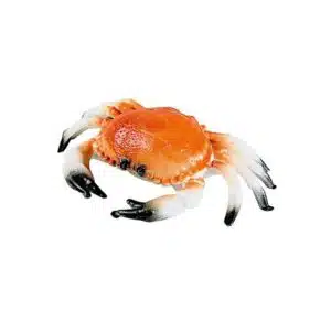 Décoration crabe pour vitrine poissonnerie
