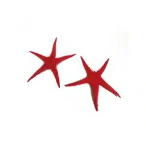 Décoration Étoiles de mer (lot de 2) pour vitrine poissonnerie