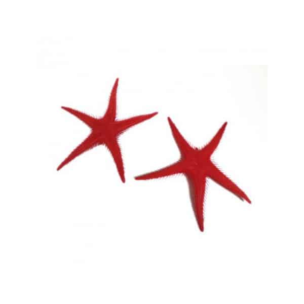 Décoration Étoiles de mer (lot de 2) pour vitrine poissonnerie