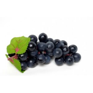 Décoration Raisin noir (lot de 12) pour vitrine poissonnerie