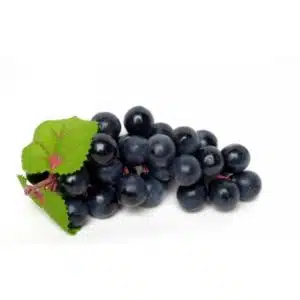 Décoration Raisin noir (lot de 12) pour vitrine poissonnerie