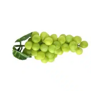 Décoration Raisin vert (lot de 12) pour vitrine poissonnerie