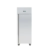 Armoire réfrigérée positive acier inoxydable -2 + 8 °C 525 L 1 porte