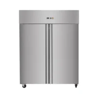 Armoire réfrigérée négative, acier inoxydable, -18 - 22 °C, 1333 L, 2 portes
