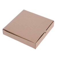 Carton à pizza lot de 100 boites